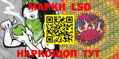 гашик Новозыбков