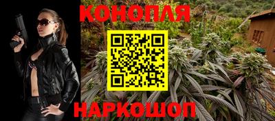гашик Новозыбков