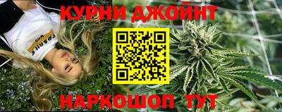 гашик Новозыбков