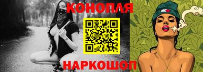гашик Новозыбков