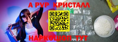 гашик Новозыбков